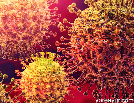 SARS coronavirus 2 CoViD-19